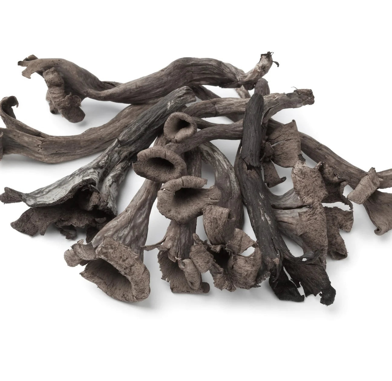 Wild Black Trumpet Mushrooms