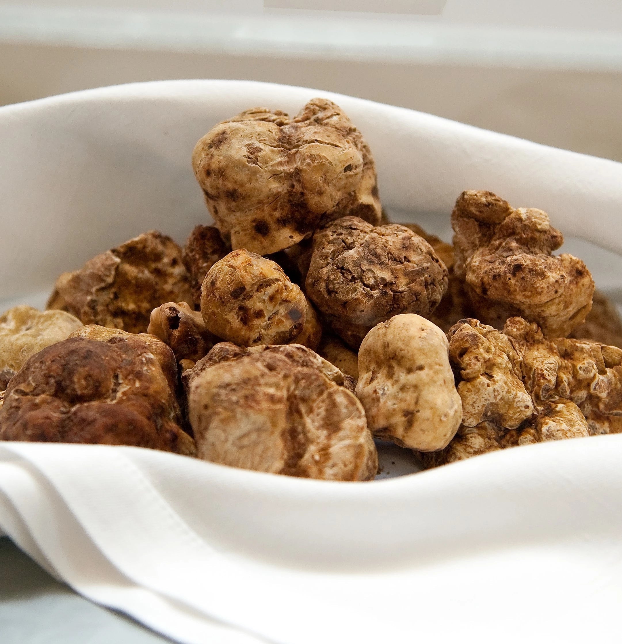 Alba White Winter Truffles (Tuber magnatum)