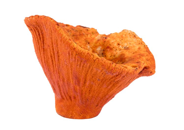 Wild Lobster Mushrooms