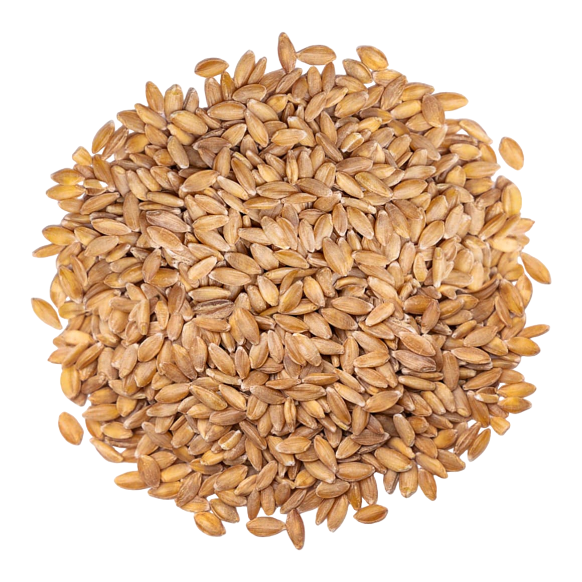 Locally-Grown Organic Piccolo Farro (Einkorn)