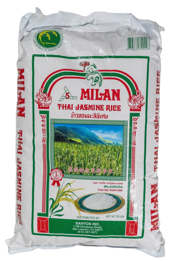 Jasmine Rice