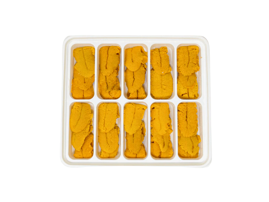 Santa Barbara Uni