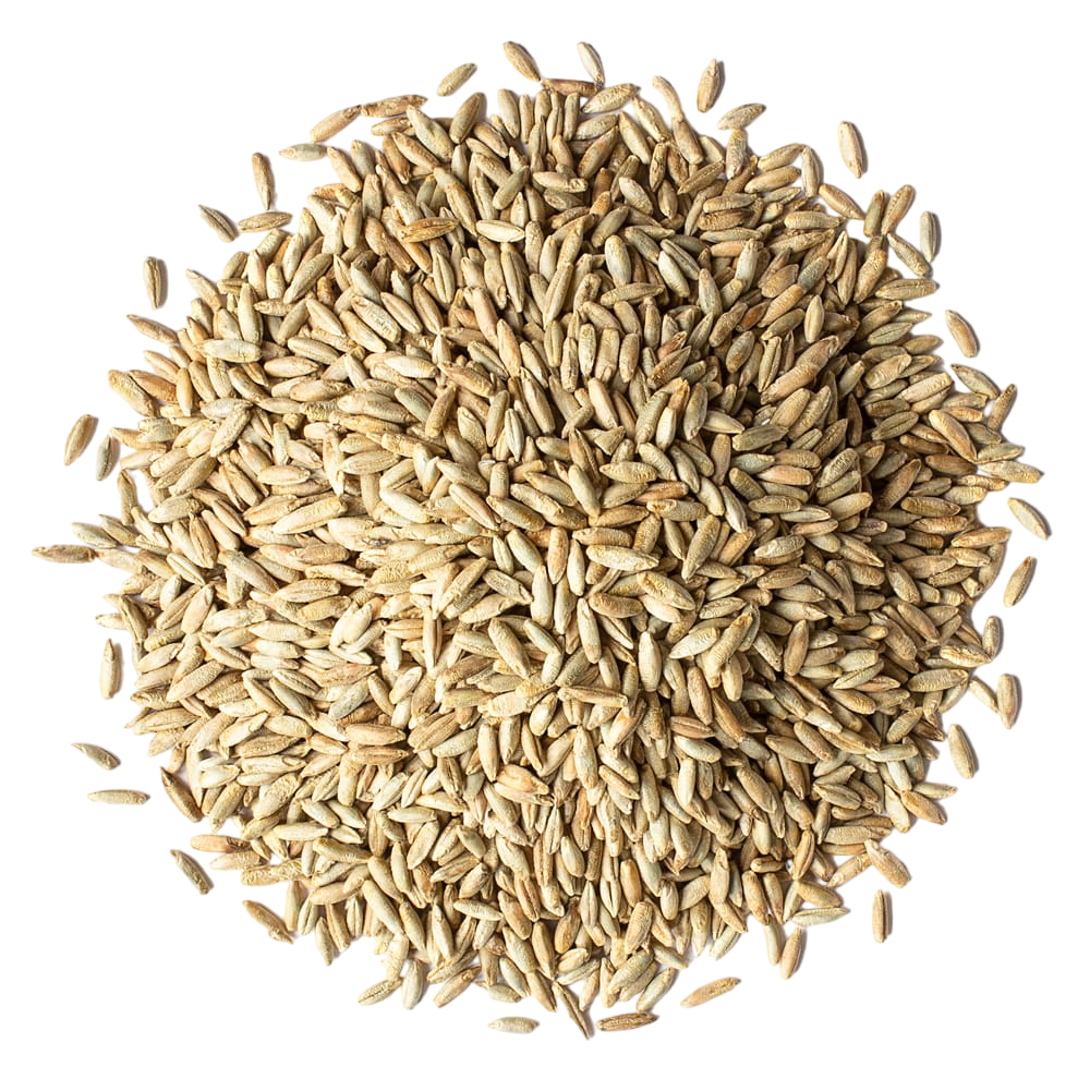 Locally-Grown Organic Rye