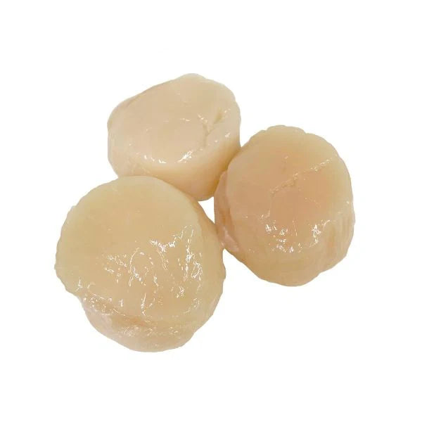 Hokkaido Scallops (U10-12)