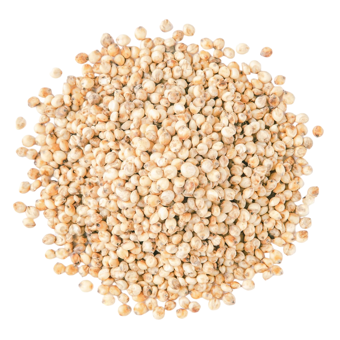 Locally-Grown Organic White Sorghum