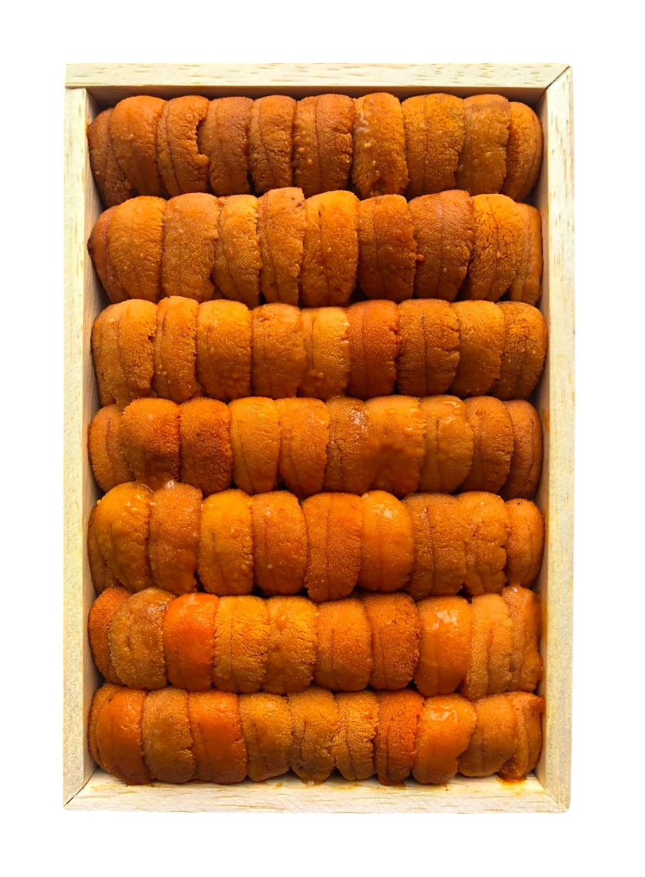 Hokkaido Uni (Narabi)