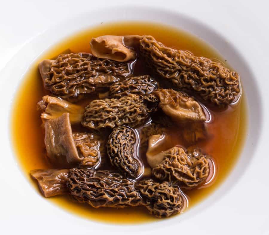 Wild Morel Mushrooms