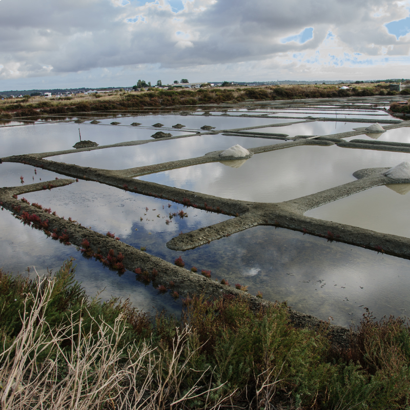 Guérande Fleur de Sel (PGI)