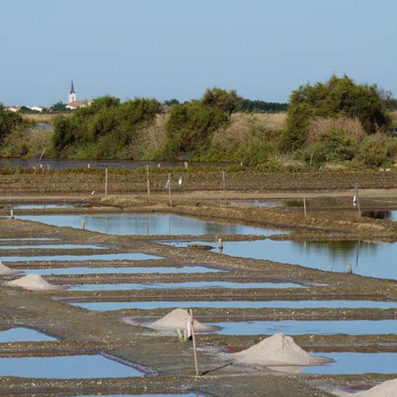 Sel Gris from île de Ré