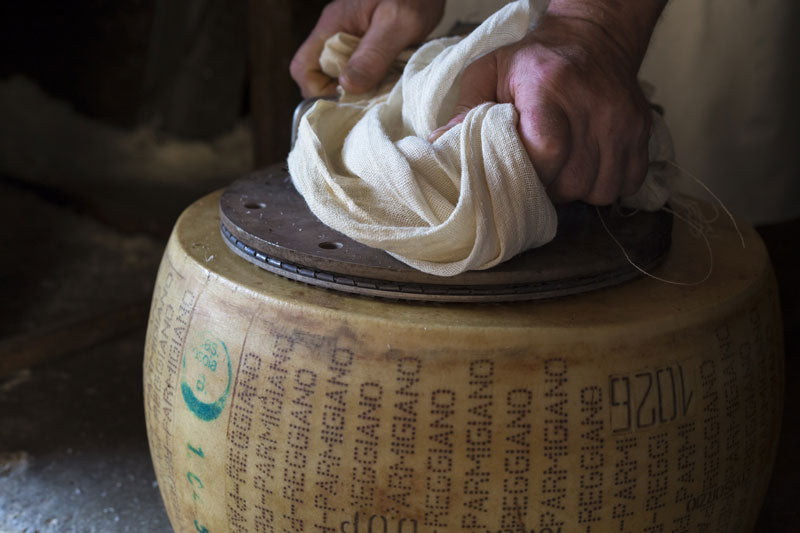 Rosola di Zocca, Parmigiano Reggiano Bianca Modenese