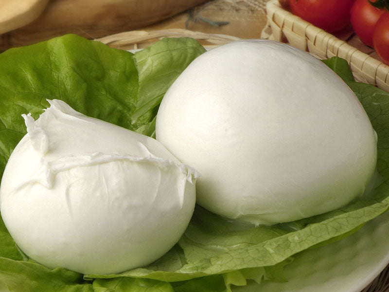 Mozzarella di Bufala D.O.P.